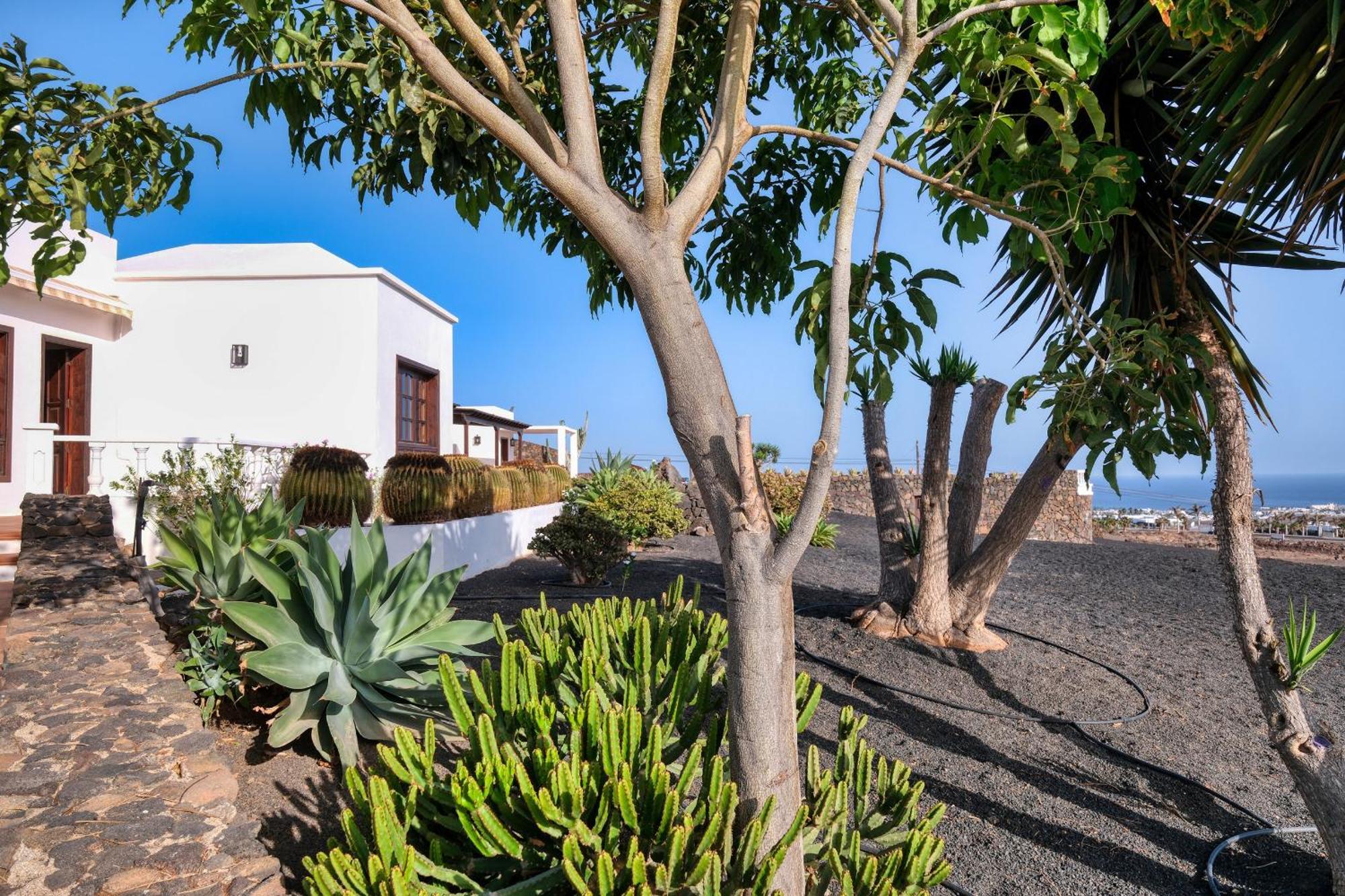 Villa Luciano "Spirit Of The Canaries" Tias Exterior photo